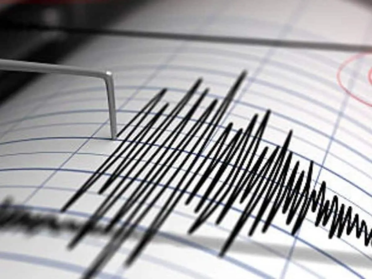 ગુજરાતના ગીર સોમનાથમાં ભૂકંપ, કેન્દ્રબિંદુની તીવ્રતા અને ઊંડાઈ કેટલી હતી? 2 ગુજરાતના ગીર સોમનાથમાં ભૂકંપ, કેન્દ્રબિંદુની તીવ્રતા અને ઊંડાઈ કેટલી હતી? https://www.pravinews.com/gujarat-news/earthquake-in-gujarat-tremor-hit-gir-somnath-district-126793