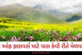 ઉત્તરાખંડમાં : વેલી ઓફ ફ્લાવર્સ માટે પાસ કેવી રીતે મેળવવો? સંપૂર્ણ નોંધણી પ્રક્રિયા અહીં જાણો https://www.pravinews.com/ajab-gajab/new-year-2024-irctc-vaishno-devi-tour-package-2024-from-delhi-76704