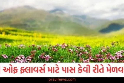 ઉત્તરાખંડમાં : વેલી ઓફ ફ્લાવર્સ માટે પાસ કેવી રીતે મેળવવો? સંપૂર્ણ નોંધણી પ્રક્રિયા અહીં જાણો https://www.pravinews.com/travel-news