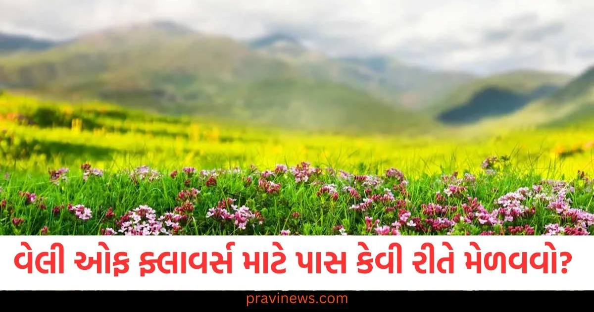 ઉત્તરાખંડમાં : વેલી ઓફ ફ્લાવર્સ માટે પાસ કેવી રીતે મેળવવો? સંપૂર્ણ નોંધણી પ્રક્રિયા અહીં જાણો https://www.pravinews.com/automobile/honda-civic-type-r-india-launch-expected-price-features-and-specs-126425