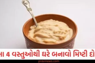 આ 4 વસ્તુઓથી ઘરે બનાવો મિષ્ટી દોઈ, રેસીપી ખૂબ જ સરળ, ખાવાની મજા આવશે https://www.pravinews.com/food/how-to-make-soft-tasty-dahi-vada-recipe-at-home-in-gujarati-129938