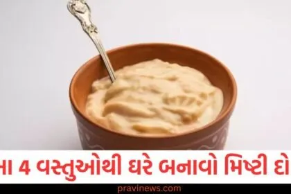 આ 4 વસ્તુઓથી ઘરે બનાવો મિષ્ટી દોઈ, રેસીપી ખૂબ જ સરળ, ખાવાની મજા આવશે https://www.pravinews.com/food