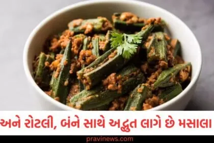 ભાત અને રોટલી, બંને સાથે અદ્ભુત લાગે છે મસાલા ભીંડી, અહીંથી નોંધી લો રેસીપી https://www.pravinews.com/food