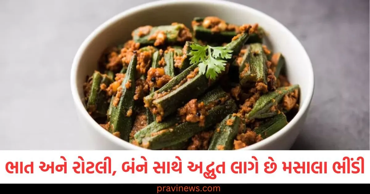 ભાત અને રોટલી, બંને સાથે અદ્ભુત લાગે છે મસાલા ભીંડી, અહીંથી નોંધી લો રેસીપી https://www.pravinews.com/technology/motorola-razr-60-sale-starts-in-india-price-features-and-offers-126414