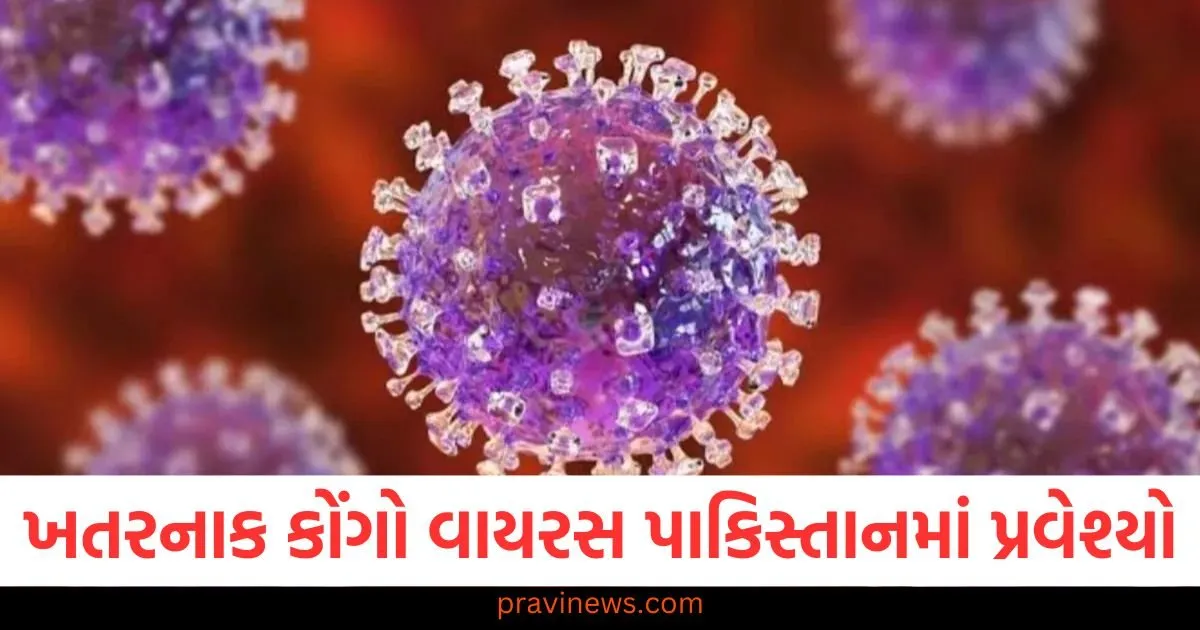 ખતરનાક કોંગો વાયરસ પાકિસ્તાનમાં પ્રવેશ્યો, ત્રણ લોકોના મોતથી ગભરાટ ફેલાયો https://www.pravinews.com/sports/joe-root-can-break-sachin-tendulkar-record-of-most-runs-in-india-vs-england-test-in-england-127562