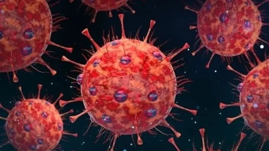 ખતરનાક કોંગો વાયરસ પાકિસ્તાનમાં પ્રવેશ્યો, ત્રણ લોકોના મોતથી ગભરાટ ફેલાયો https://www.pravinews.com/international-news/pakistan-congo-virus-outbreak-in-pakistan-3-deaths-reported-127558