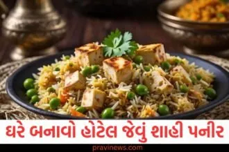 તમે પણ ઘરે બનાવી શકો છે હોટેલ જેવું શાહી પનીર, બસ ફોલો આ સ્વાદિષ્ટ રેસીપી https://www.pravinews.com/food/how-to-make-soft-tasty-dahi-vada-recipe-at-home-in-gujarati-129938