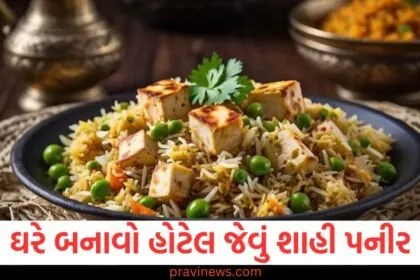 તમે પણ ઘરે બનાવી શકો છે હોટેલ જેવું શાહી પનીર, બસ ફોલો આ સ્વાદિષ્ટ રેસીપી https://www.pravinews.com/food