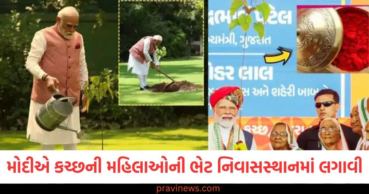 મોદીએ કચ્છની બહાદુર મહિલાઓની ભેટ વડાપ્રધાન નિવાસસ્થાનમાં લગાવી, જાણો 1971ના પાકિસ્તાન યુદ્ધ સાથે શું સંબંધ છે? https://www.pravinews.com/gujarat-news/gujarat-weather-rain-alert-6-districts-imd-told-when-monsoon-may-enter-2-126624
