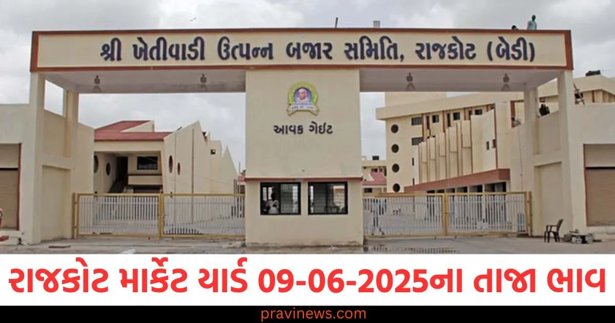 રાજકોટ માર્કેટ યાર્ડ આજના ભાવ | Rajkot APMC Market Price Today 09-06-2025 https://www.pravinews.com/food/tomato-upma-best-for-taste-and-health-prepare-quickly-with-this-easy-recipe-126855