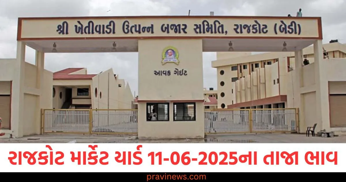 રાજકોટ માર્કેટ યાર્ડ આજના ભાવ | Rajkot APMC Market Price Today 11-06-2025 https://www.pravinews.com/gujarat-news/rajkot-news/rajkot-apmc-market-price-today-live-updates-11-06-2025-127025