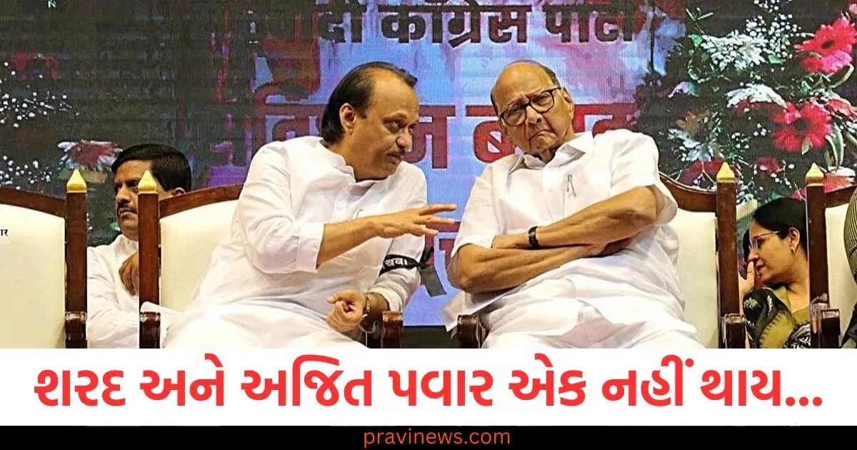 શરદ અને અજિત પવાર એક નહીં થાય, સ્થાપના દિવસે અલગ અલગ પ્લેટફોર્મ પરથી શક્તિ બતાવશે https://www.pravinews.com/politics/sharad-and-ajit-pawar-ncp-will-not-unite-show-strength-from-different-platforms-on-foundation-day-126496