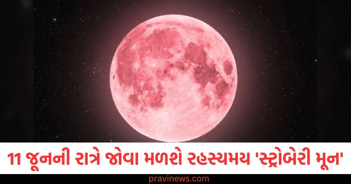 11 જૂનની રાત્રે આકાશમાં જોવા મળશે રહસ્યમય 'સ્ટ્રોબેરી મૂન', 2043 સુધી આવો નજારો નહીં જોવા મળે https://www.pravinews.com/gujarat-news/rajkot-news/rajkot-apmc-market-price-today-live-updates-11-06-2025-127025