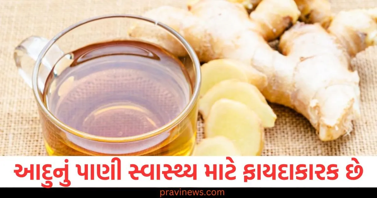 દરરોજ પીવો આદુનું પાણી, તમારું શરીર થઇ જશે લોખંડી, તમને ઘણા મોટા ફાયદા થશે https://www.pravinews.com/business/markets-plunge-for-fourth-consecutive-day-sensex-falls-247-points-and-nifty-68-points-big-decline-in-these-stocks-127655