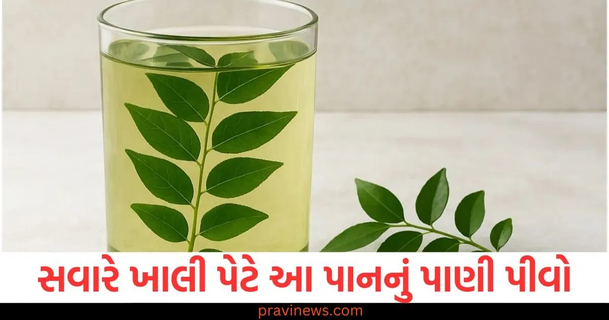 સવારે ખાલી પેટે આ પાનનું પાણી પીવો, તમારી રોગપ્રતિકારક શક્તિ વધશે, તમને મળશે આ ફાયદા https://www.pravinews.com/lifestyle/health-fitness/eat-makhana-kheer-instead-of-rice-you-will-get-many-benefits-127997