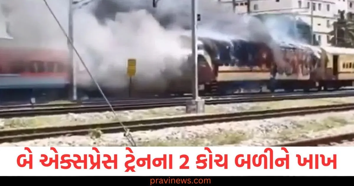 હિસાર એક્સપ્રેસ અને રાયલસીમા એક્સપ્રેસમાં આગ, બંને ટ્રેનના 2 કોચ બળીને ખાખ https://www.pravinews.com/world-news-in-gujarati/a-mistake-can-prove-costly-how-do-astronauts-return-to-earth-from-the-iss-127674