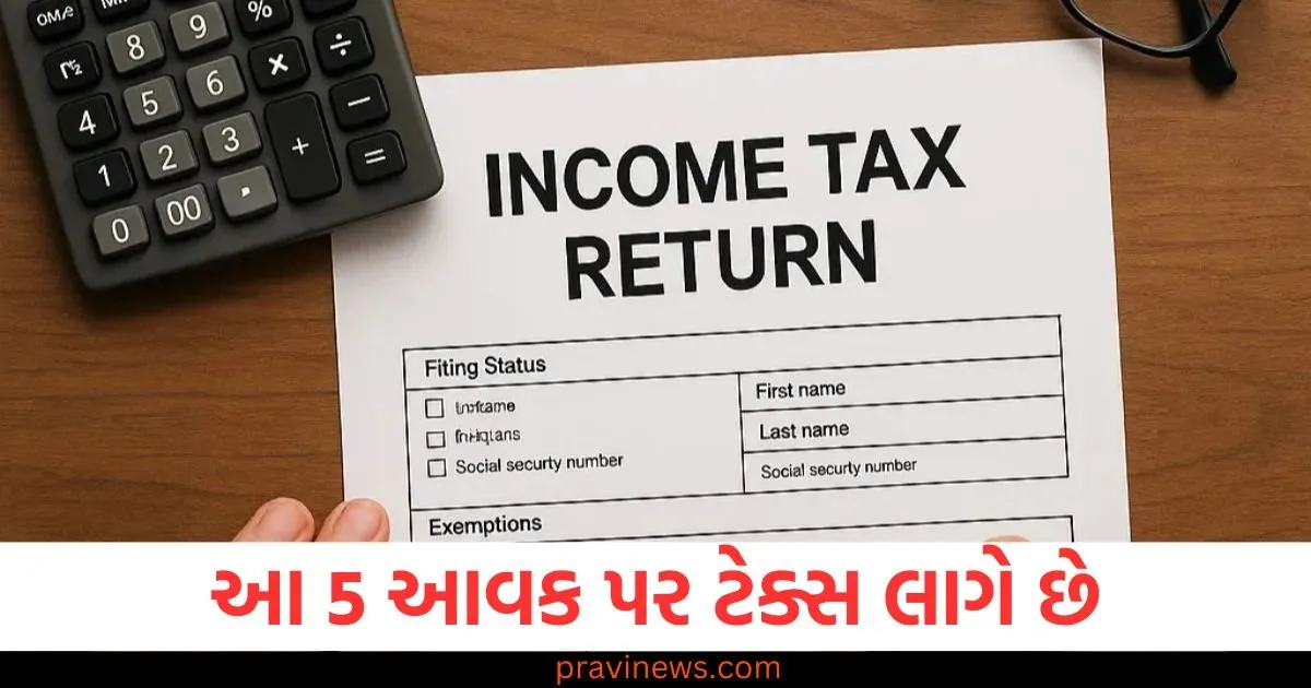 ITR 2025: આ 5 આવક પર ટેક્સ લાગે છે, રિટર્ન ફાઇલ કરતી વખતે જરૂરી માહિતી આપો https://www.pravinews.com/business/this-ipo-is-creating-a-stir-in-the-grey-market-will-close-in-a-few-hours-invest-as-soon-as-possible-128422