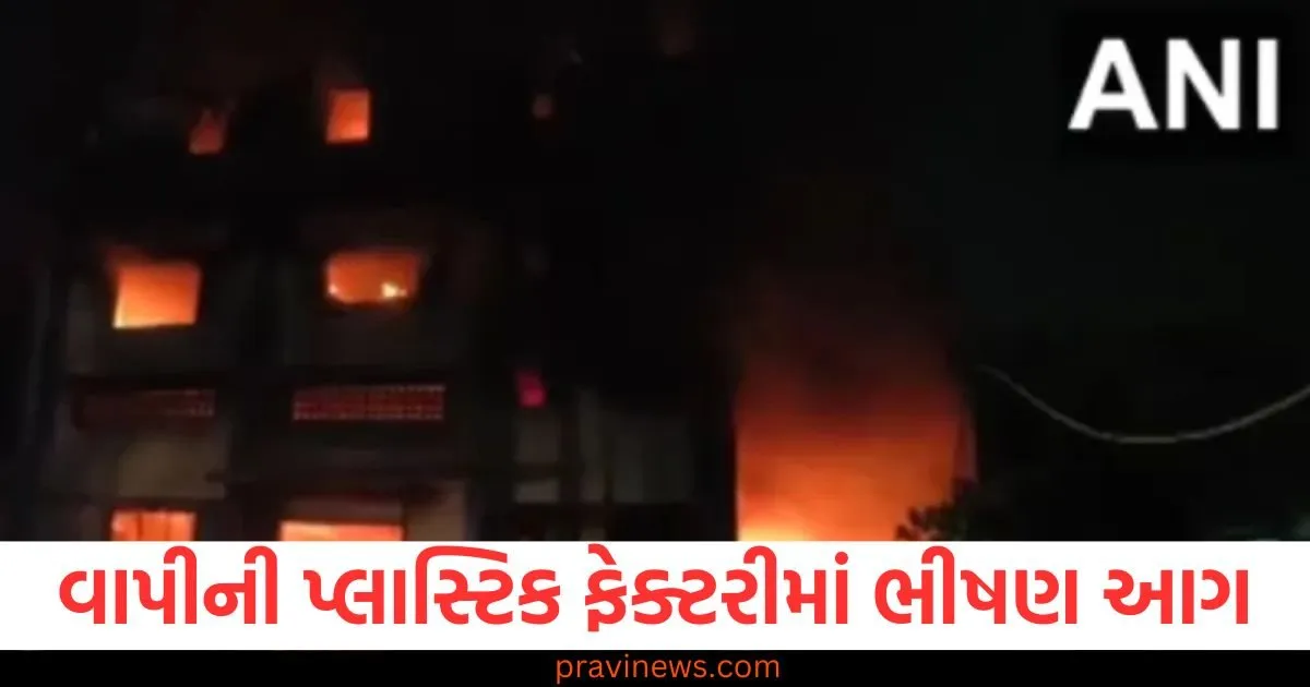 વાપીની પ્લાસ્ટિક ફેક્ટરીમાં ભીષણ આગ, બચાવ કામગીરી ચાલુ https://www.pravinews.com/gujarat-news/gujarat-property-holders-will-get-free-ownership-certificate-under-ownership-scheme-128187