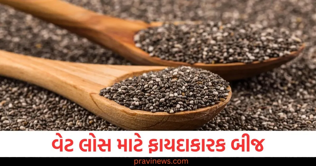 વજન ઘટાડવા માટે ખાઓ આ પોષક તત્વોથી ભરપૂર બીજ, શરીરમાં જમા થયેલી હઠીલી ચરબી ઓગળવા લાગશે https://www.pravinews.com/lifestyle/health-fitness/best-home-remedies-to-get-rid-of-gas-acidity-128079