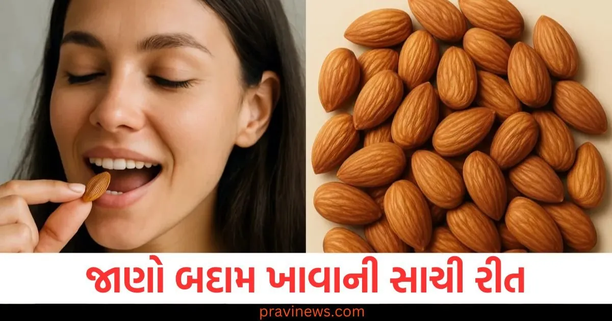 બદામ સ્વાસ્થ્ય માટે ફાયદાકારક છે પણ જો તમે તેનું આ રીતે સેવન કરશો તો તમારું સ્વાસ્થ્ય બગડશે, જાણો તેને ખાવાની સાચી રીત https://www.pravinews.com/religion/astrology/good-news-can-be-received-for-people-of-leo-virgo-and-libra-read-daily-horoscope-128494