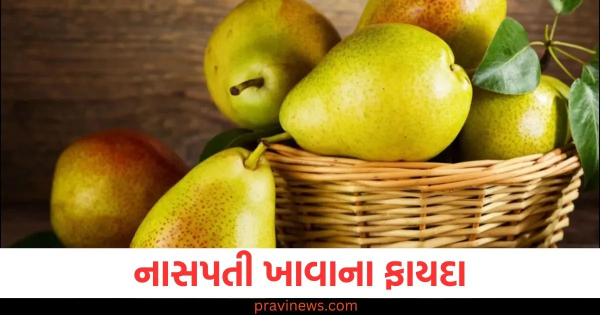 આ ફળ ભગાડી દેશે બધા રોગોને, સૌથી વધુ વિટામિન હોય છે, શ્રાવણ મહિનામાં ખાવા જ જોઈએ https://www.pravinews.com/religion/astrology/people-of-virgo-and-libra-will-get-success-in-their-career-know-the-status-of-other-zodiac-signs-127684