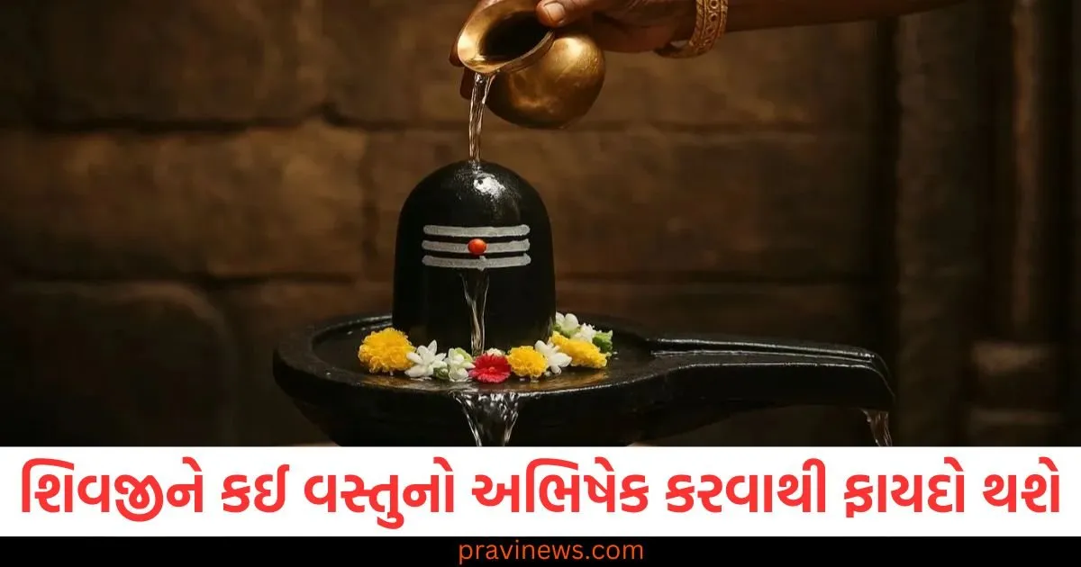 દૂધ, દહીં કે શેરડીનો રસ? જાણો શ્રાવણ શિવરાત્રીના દિવસે શિવજીને કઈ વસ્તુનો અભિષેક કરવાથી ફાયદો થશે https://www.pravinews.com/religion/astrology/these-five-zodiac-signs-will-get-the-support-of-luck-along-with-promotion-in-the-job-there-is-also-a-possibility-of-financial-gain-128155