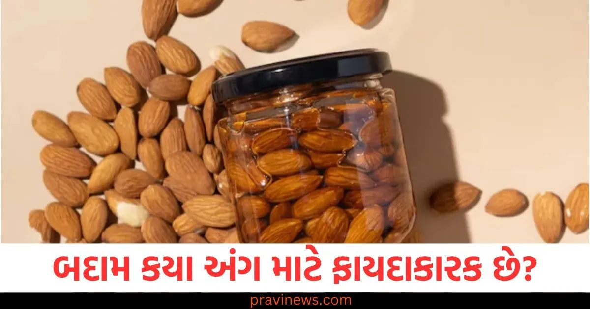 બદામ કયા અંગ માટે ફાયદાકારક છે, જાણો દિવસમાં કેટલી બદામ ખાવી જોઈએ? https://www.pravinews.com/lifestyle/health-fitness/soak-these-things-in-water-overnight-before-eating-them-in-the-morning-128888