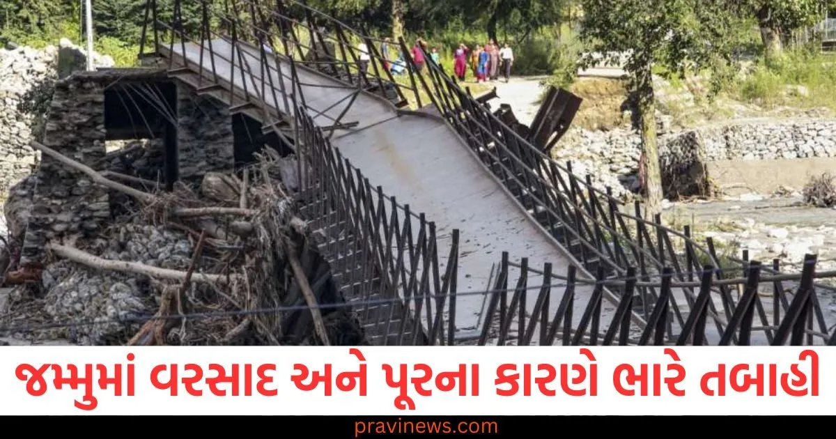 જમ્મુ-કાશ્મીર સહિત ઘણા રાજ્યોમાં વરસાદને કારણે ભારે વિનાશ, વૈષ્ણોદેવી ભૂસ્ખલનમાં 34 લોકોના મોત https://www.pravinews.com/world-news-in-gujarati/now-this-state-of-the-country-will-become-beggar-free-begging-will-be-completely-banned-bill-passed-in-the-assembly-129470