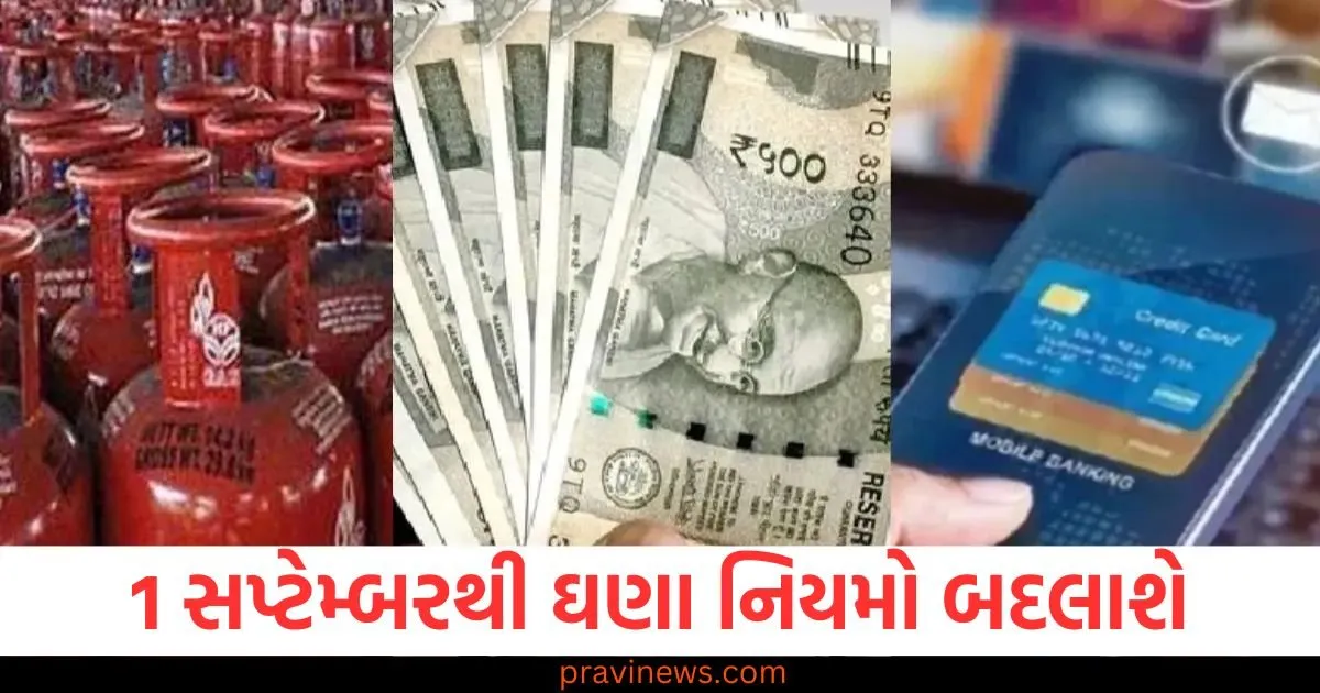 1 સપ્ટેમ્બરથી ઘણા નિયમો બદલાશે, LPG; ATM ચાર્જ અને FD વ્યાજ દરો પર અસર પડશે https://www.pravinews.com/lifestyle/health-fitness/chew-these-leaves-full-of-medicinal-properties-every-day-it-is-a-panacea-for-these-diseases-129528