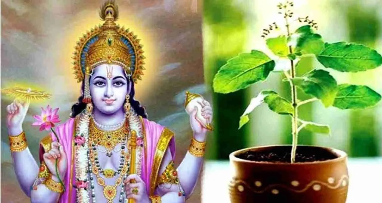 આજે અજા એકાદશી છે, દરેક વ્યક્તિએ તુલસી સંબંધિત આ 5 ઉપાયો કરવા જોઈએ; દેવી લક્ષ્મી ઘરે દોડી આવે છે https://www.pravinews.com/religion/astrology/today-is-aja-ekadashi-everyone-should-do-these-5-remedies-related-to-tulsi-129089