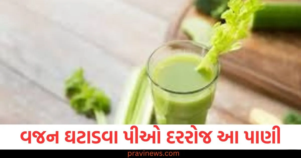 દરરોજ પીઓ આ લીલા મસાલાનું પાણી, ઘટવા લાગશે તમારું વજન અને મળશે તમને આ 5 અદ્ભુત ફાયદા https://www.pravinews.com/lifestyle/health-fitness/what-is-the-alkaline-water-that-celebrities-drink-a-lot-of-know-how-different-it-is-from-normal-water-129485