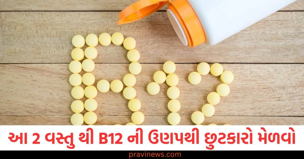 વિટામિન B12 ની ઉણપથી છુટકારો મેળવવા માંગતા હો, તો આ 2 સરળતાથી ઉપલબ્ધ વસ્તુઓ વરદાન સાબિત થશે https://www.pravinews.com/religion/astrology/on-august-17-saturn-and-sun-will-form-a-very-dangerous-shadashtak-yoga-the-problems-of-these-4-zodiac-signs-may-increase-128971