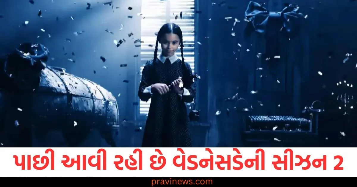 252.1 મિલિયન વ્યૂઝ સાથેની આ સિરીઝ, 8 એપિસોડ સાથે OTT પર ધૂમ મચાવી, હવે સીઝન 2 સાથે પરત ફરી રહી છે https://www.pravinews.com/entertainment/wednesday-season-2-suspense-thriller-series-is-back-first-season-got-252-million-views-streaming-time-and-cast-details-128950