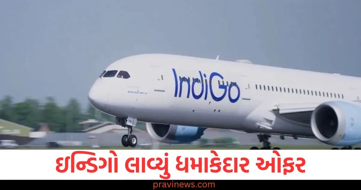 માત્ર ₹૧૨૯૯માં પણ ઘરેલુ મુસાફરી કરવાની તક! ₹૪૫૯૯માં આંતરરાષ્ટ્રીય ફ્લાઇટ, ઇન્ડિગો લાવ્યું ધમાકેદાર ઓફર, બુકિંગ શરૂ https://www.pravinews.com/business/indigo-grand-runaway-fest-offer-from-15-september-domestic-flights-from-rs-1299-international-flights-from-rs-4599-129992