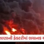 ફેક્ટરીમાં ભયાનક આગ, આકાશ કાળા ધુમાડાથી ઢંકાયેલું; 2 કામદારોના મોત https://www.pravinews.com/business/this-company-will-make-big-money-from-tata-capitals-ipo-is-planning-to-sell-3-58-crore-shares-129993