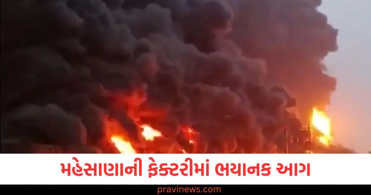 ફેક્ટરીમાં ભયાનક આગ, આકાશ કાળા ધુમાડાથી ઢંકાયેલું; 2 કામદારોના મોત https://www.pravinews.com/gujarat-news/two-workers-killed-in-fire-at-fertiliser-plant-in-mehsana-130000