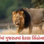 છેલ્લા બે વર્ષમાં ગુજરાતમાં કેટલા સિંહોના મોત? મંત્રીએ ચોંકાવનારા આંકડા જાહેર કર્યા https://www.pravinews.com/gujarat-news/two-workers-killed-in-fire-at-fertiliser-plant-in-mehsana-130000