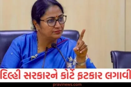 દિલ્હી સરકારને કોર્ટે ફટકાર લગાવી, EV વાહનો માટે સબસિડી ચૂકવવામાં આવશે https://www.pravinews.com