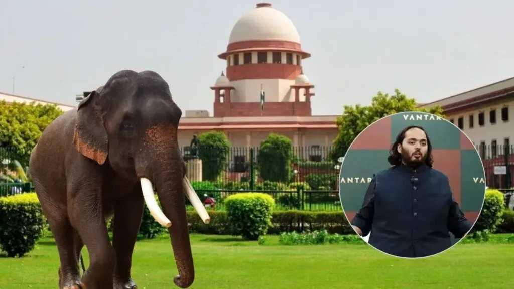 અનંત અંબાણીના વંતરાને મળી ક્લીનચીટ, જાણો શું છે આખો મામલો? https://www.pravinews.com/gujarat-news/court-reprimands-delhi-government-says-subsidy-will-be-paid-for-ev-vehicles-2-130034