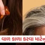 જો તમારા વાળ પણ સફેદ છે તો આ બે બીજથી ઘરે તેલ બનાવો, થોડીવારમાં જ કાળા થઈ જશે વાળ https://www.pravinews.com/food/know-how-to-make-makhana-chilla-recipe-for-morning-breakfast-recipes-130059