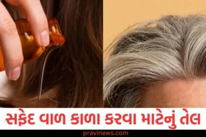 જો તમારા વાળ પણ સફેદ છે તો આ બે બીજથી ઘરે તેલ બનાવો, થોડીવારમાં જ કાળા થઈ જશે વાળ https://www.pravinews.com