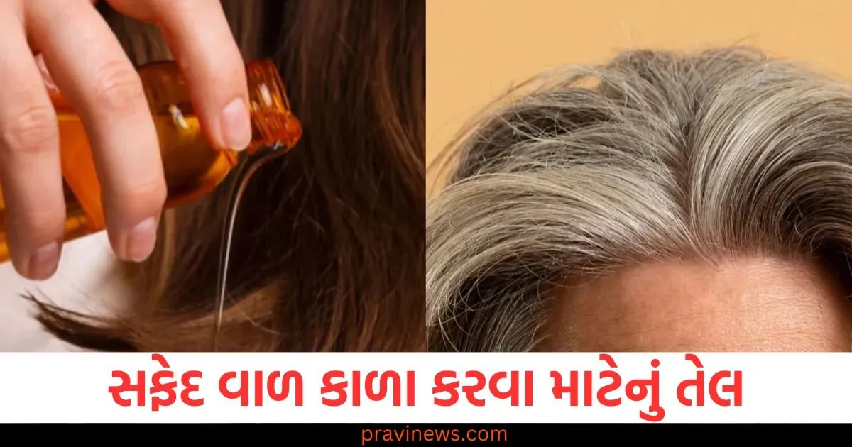 જો તમારા વાળ પણ સફેદ છે તો આ બે બીજથી ઘરે તેલ બનાવો, થોડીવારમાં જ કાળા થઈ જશે વાળ https://www.pravinews.com/lifestyle/if-your-hair-is-also-white-then-make-oil-at-home-with-kalonji-and-black-sesame-seeds-you-will-get-jet-black-hair-in-minutes-130058