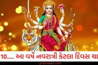 Shardiya Navratri 2025: 9 કે 10.... આ વર્ષે નવરાત્રી કેટલા દિવસ ચાલશે અને વિજયાદશમી ક્યારે ઉજવાશે? તારીખો જાણો https://www.pravinews.com/navratri/which-fruits-should-not-be-offered-to-goddess-durga-during-navratri-130160