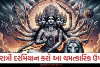 Shardiya Navratri 2025: નવરાત્રી દરમિયાન કરો આ ચમત્કારિક ઉપાયો, તમને મળશે દેવી દુર્ગાના આશીર્વાદ https://www.pravinews.com/navratri/which-fruits-should-not-be-offered-to-goddess-durga-during-navratri-130160