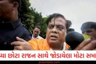 અંડરવર્લ્ડ ડોન છોટા રાજન સાથે જોડાયેલા મોટા સમાચાર, સુપ્રીમ કોર્ટે હત્યા કેસમાં સજા પરનો સ્ટે હટાવ્યો https://www.pravinews.com/politics/rahul-gandhis-big-allegation-of-vote-theft-exposed-election-commission-calls-this-claim-baseless-130380