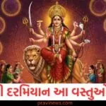 Navratri 2025: નવરાત્રી દરમિયાન તમારા ઘરમાં સુખ અને સમૃદ્ધિ લાવવા માટે આ વસ્તુઓ ખરીદો https://www.pravinews.com/world-news-in-gujarati/another-earthquake-struck-indias-neighboring-country-know-how-intense-it-was-130124