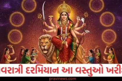 Navratri 2025: નવરાત્રી દરમિયાન તમારા ઘરમાં સુખ અને સમૃદ્ધિ લાવવા માટે આ વસ્તુઓ ખરીદો https://www.pravinews.com/religion/astrology