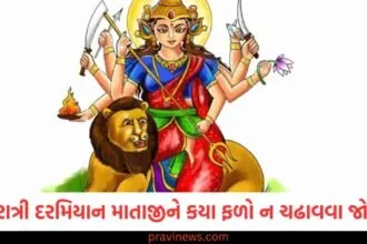 નવરાત્રી દરમિયાન માતા દેવીને કયા ફળો ન ચઢાવવા જોઈએ? પ્રસાદ સંબંધિત મહત્વપૂર્ણ નિયમો અહીં જાણો. https://www.pravinews.com/navratri/navratri-2025-day-2-maa-brahmacharini-colour-devi-goddess-bhog-mantra-katha-puja-time-130261