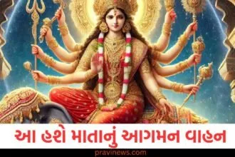 નવરાત્રીના 10 દિવસ, હાથી પર માતાનું આગમન અને પાલખી પર પ્રસ્થાન, જાણો તેની અસર https://www.pravinews.com/navratri/navratri-2025-day-2-maa-brahmacharini-colour-devi-goddess-bhog-mantra-katha-puja-time-130261