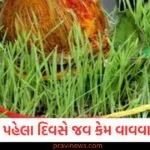Shardiya Navratri 2025: નવરાત્રીના પહેલા દિવસે જવ કેમ વાવવામાં આવે છે? તેની પાછળની ધાર્મિક માન્યતાઓ વિશે જાણો https://www.pravinews.com/gujarat-news/gujarat-weather-monsoon-reverse-navratri-2025-heavy-rain-fall-alert-19-september-130175